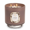 'Agave Citron' Scented Candle - 566 g