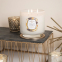 'Oroblanco Citrus' Scented Candle - 566 g