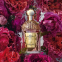 Eau de parfum 'Aqua Allegoria Forte Rosa Rossa'