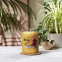 'Tropical Starfruit' Scented Candle - 104 g