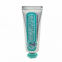 'Anise Mint' Toothpaste - 25 ml