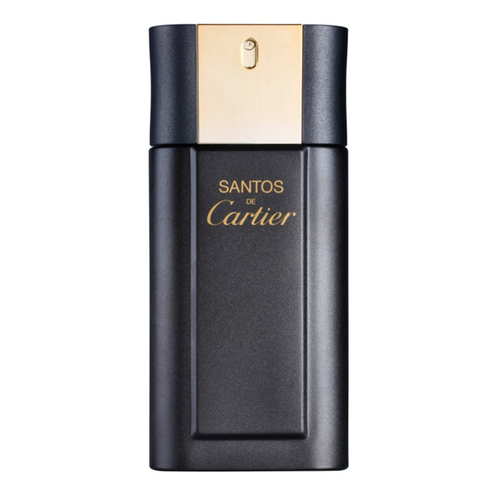 'Santos De Cartier Concentrate' Eau de toilette - 100 ml