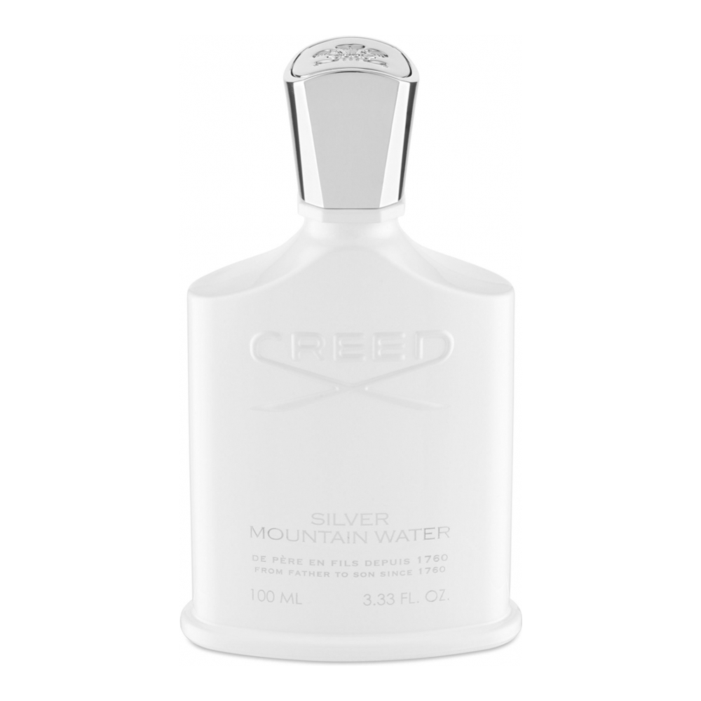 Eau de parfum 'Silver Mountain Water' - 100 ml