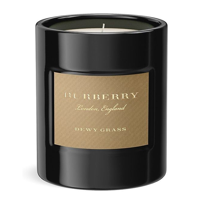 'Dewy Grass Scented' Scented Candle - 240 g