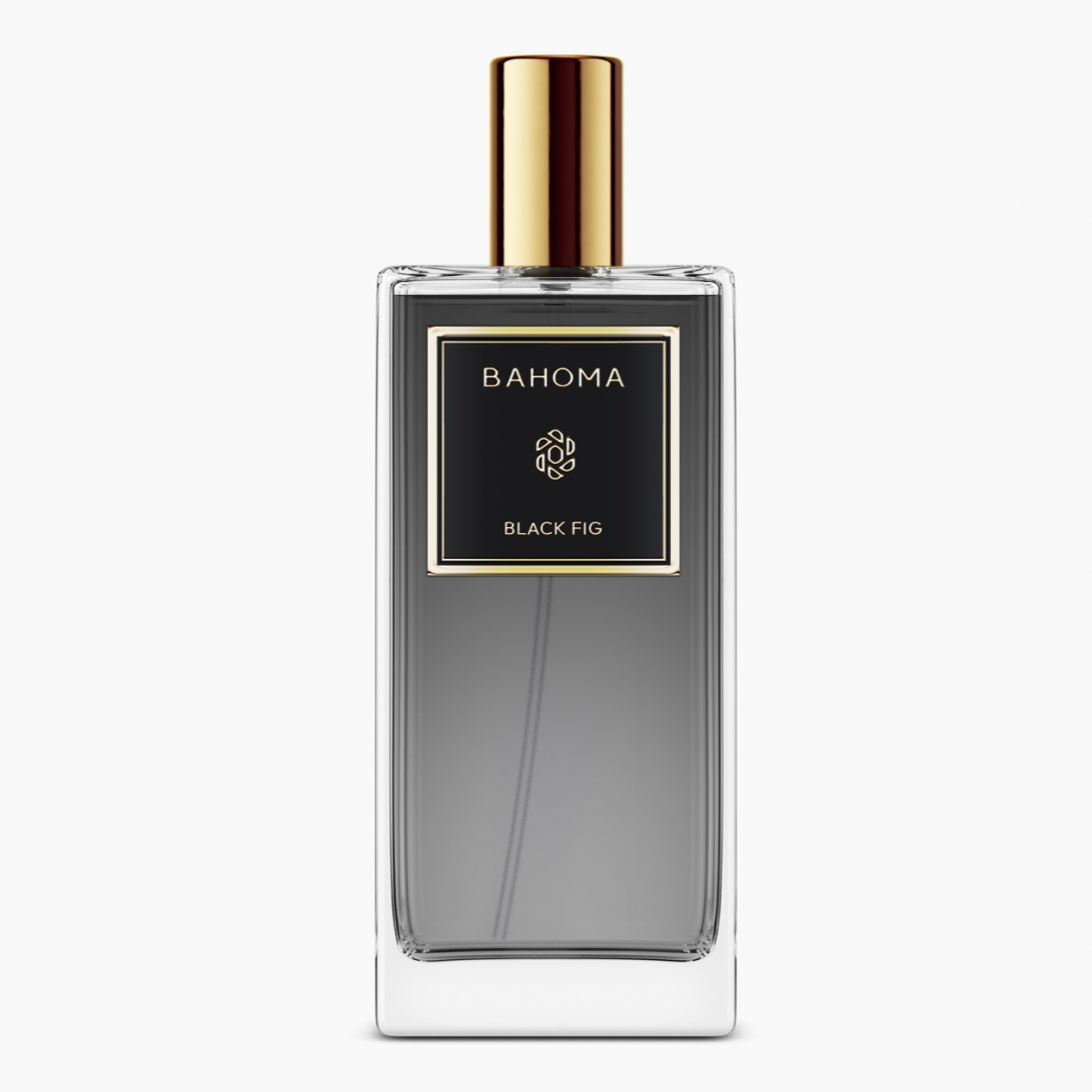 Spray d'ambiance 'Obsidian' - Black Fig 100 ml