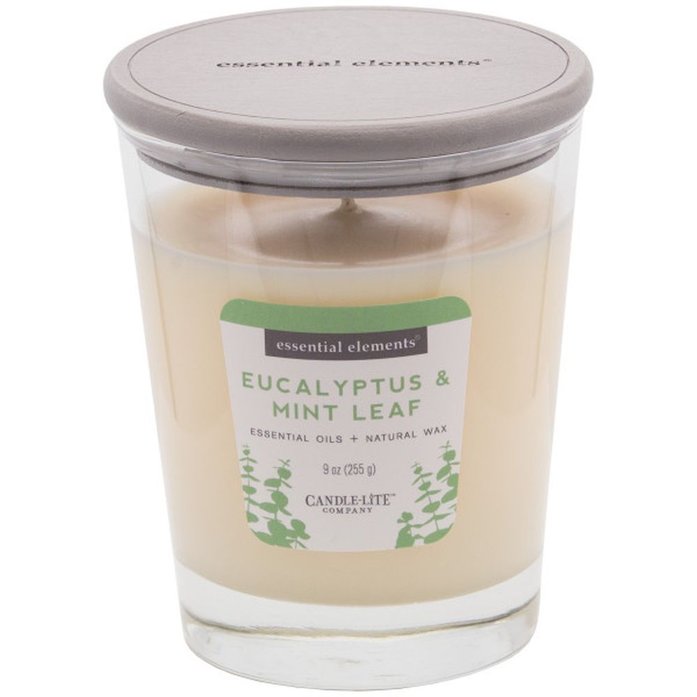 Scented Candle - Eucalyptus & Mint Leaf 255 g