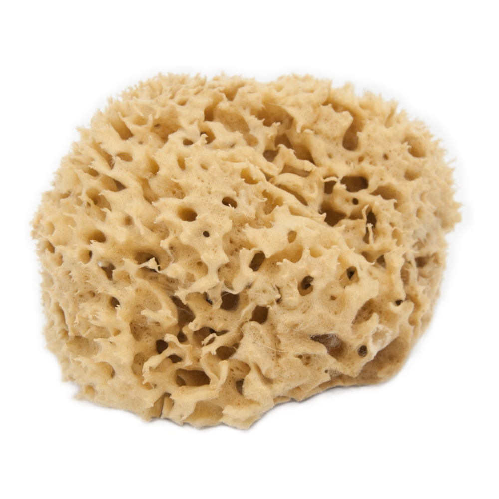 'Natural Mediterranean Sea' Body Sponge