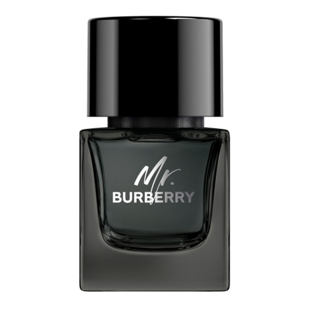 Eau de parfum 'Mr. Burberry' - 50 ml