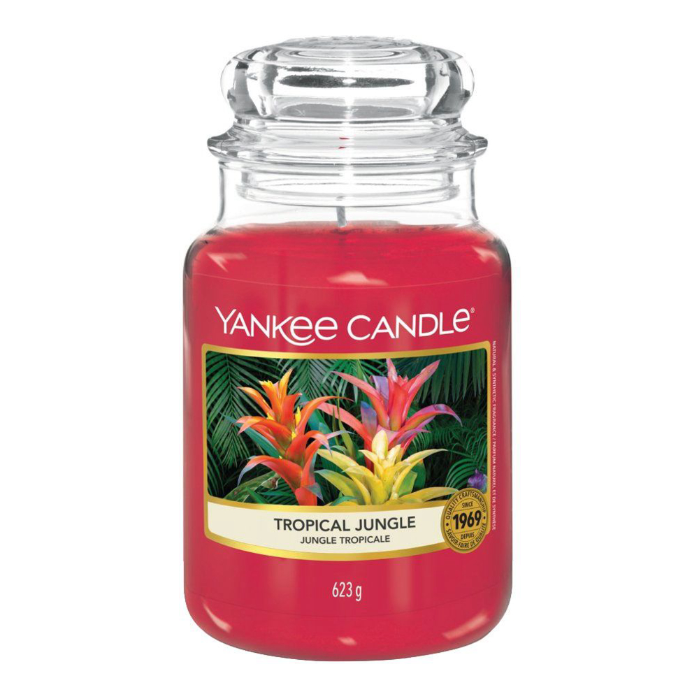 'Tropical Jungle' Scented Candle - 623 g
