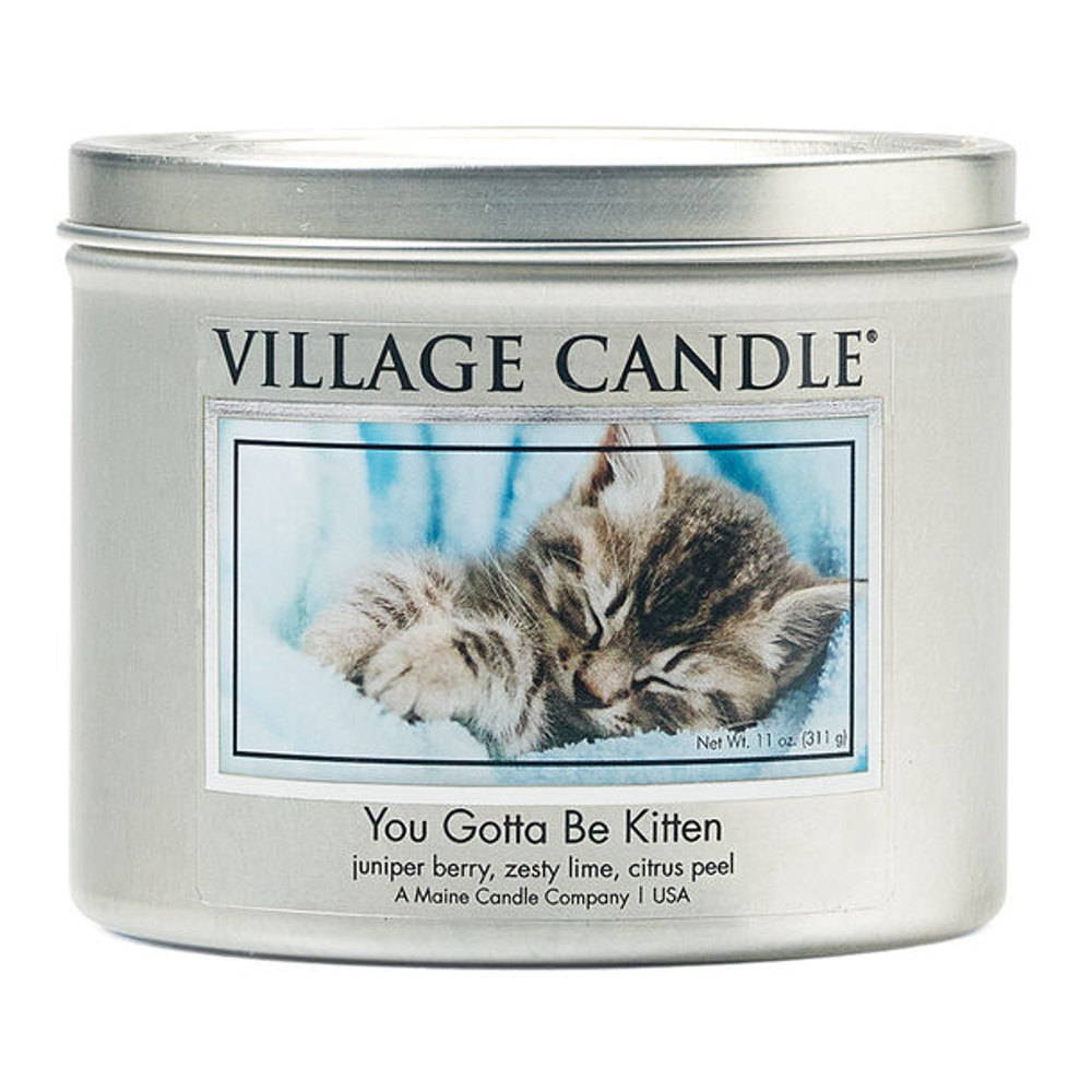'You Gotta Be Kitten' Scented Candle - 312 g