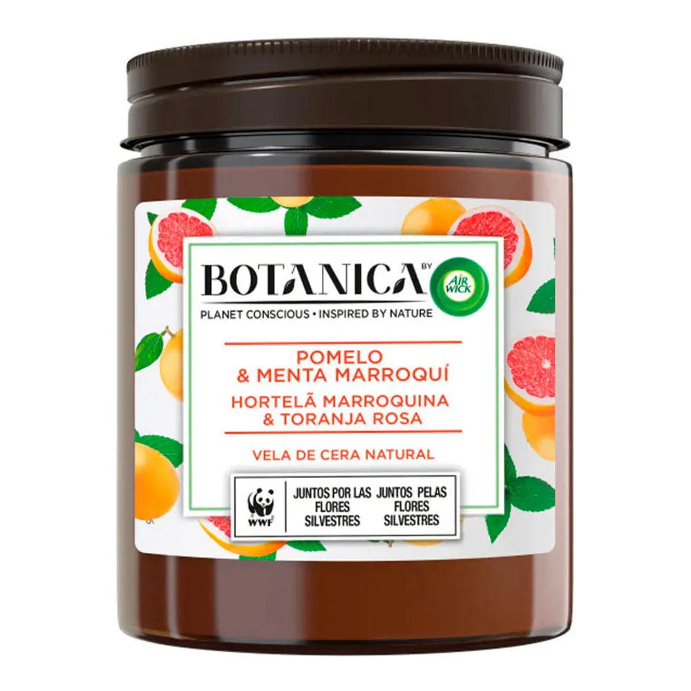 Bougie parfumée 'Botanica' - Pomelo, Thé à la menthe marocain 205 g