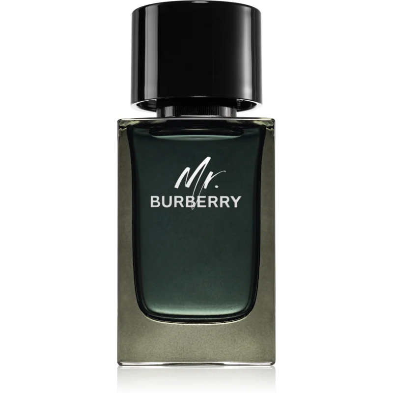 Eau de parfum 'Mr. Burberry' - 100 ml