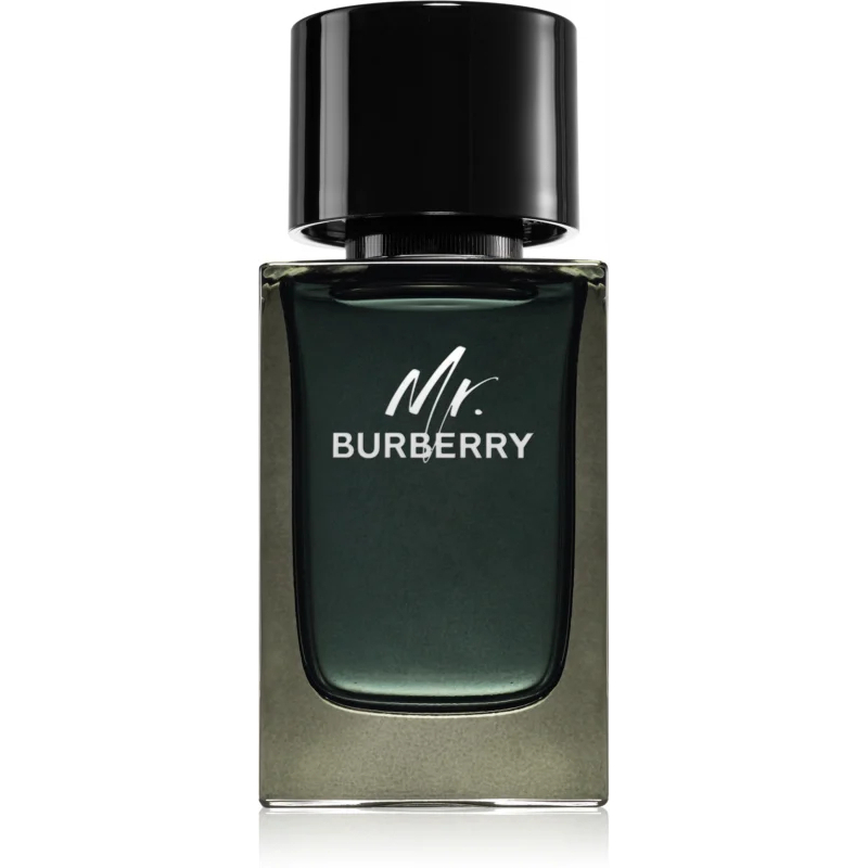 Eau de parfum 'Mr. Burberry' - 100 ml