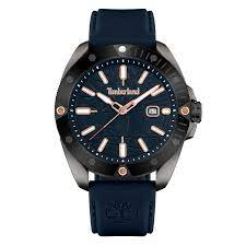 Montre 'TDWGN2102901' pour Hommes