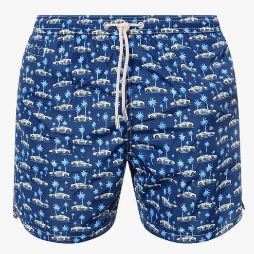 Men's 'Speed Holiday' Swimming Shorts