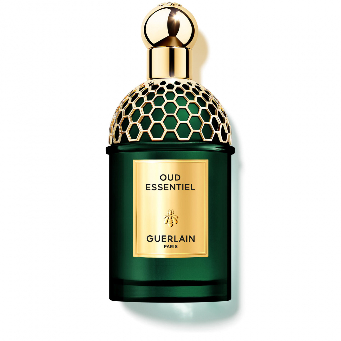 Eau de parfum 'Absolute Allegoria Oud Essentiel' - 125 ml