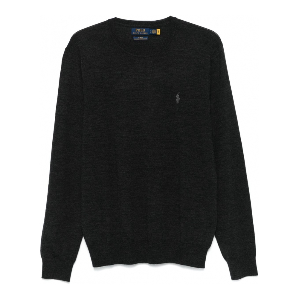 Pull 'Pony-Embroidered' pour Hommes