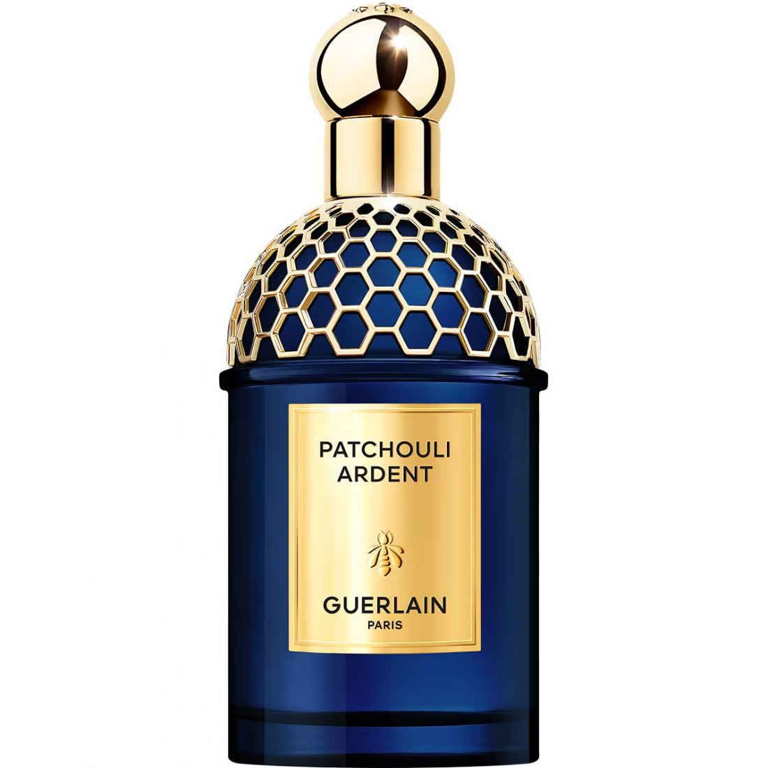 Eau de parfum 'Absolute Allegoria Patchouli Ardent' - 125 ml