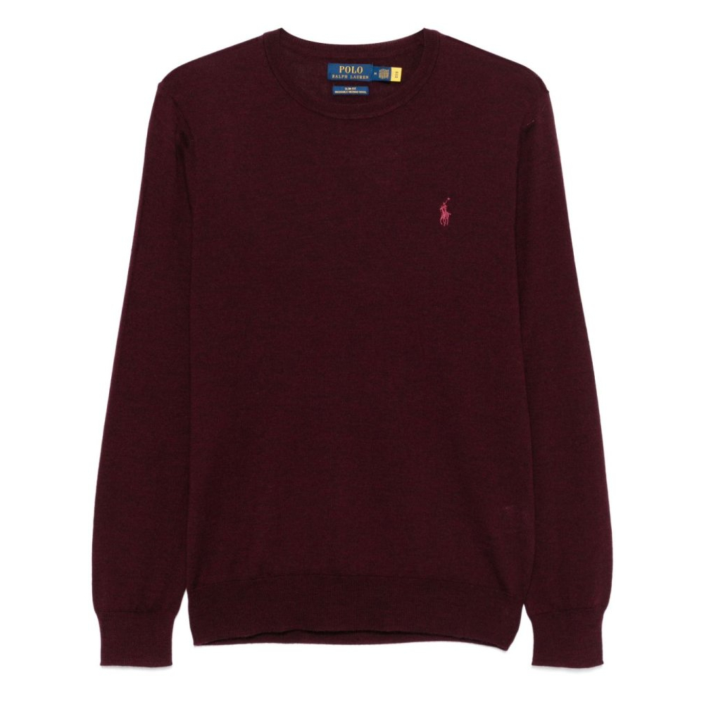 Pull 'Polo Pony' pour Hommes