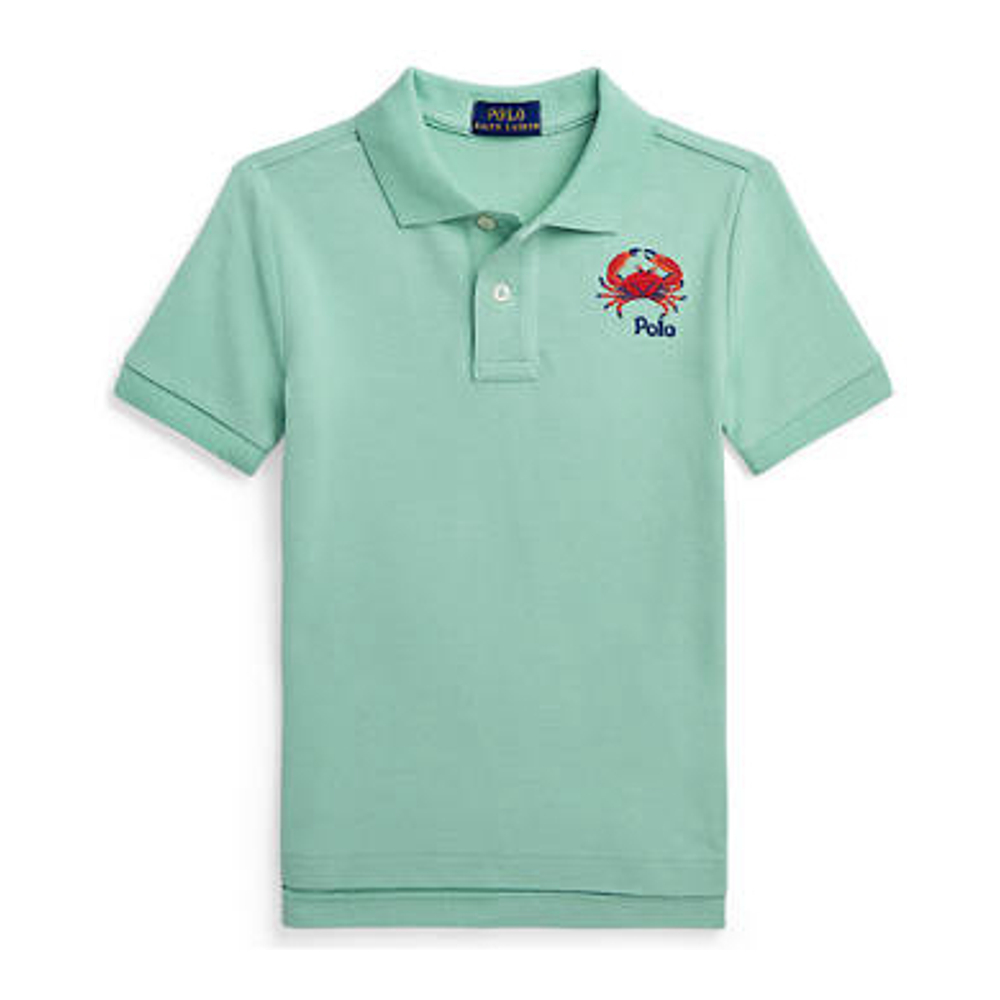 Little Boy's 'Embroidered Cotton Mesh Polo Shirt'