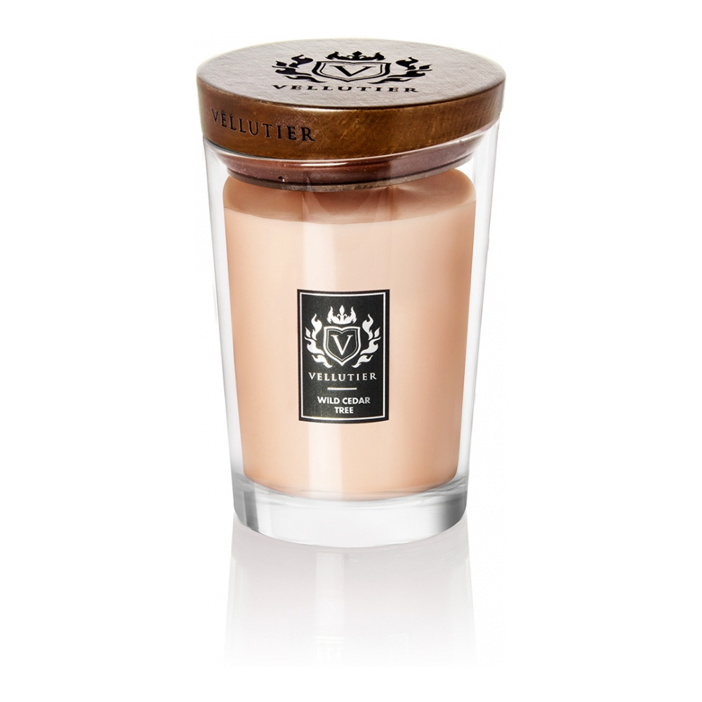 Wild Cedar Tree' Duftende Kerze - 515 g