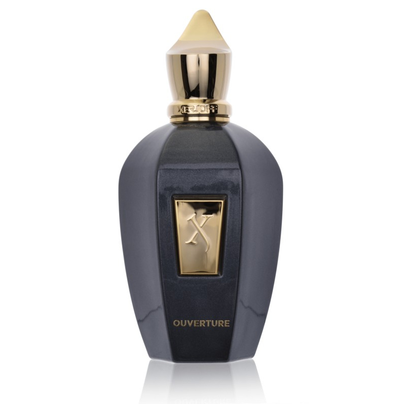 Eau de parfum 'Vibe Ouverture' - 100 ml