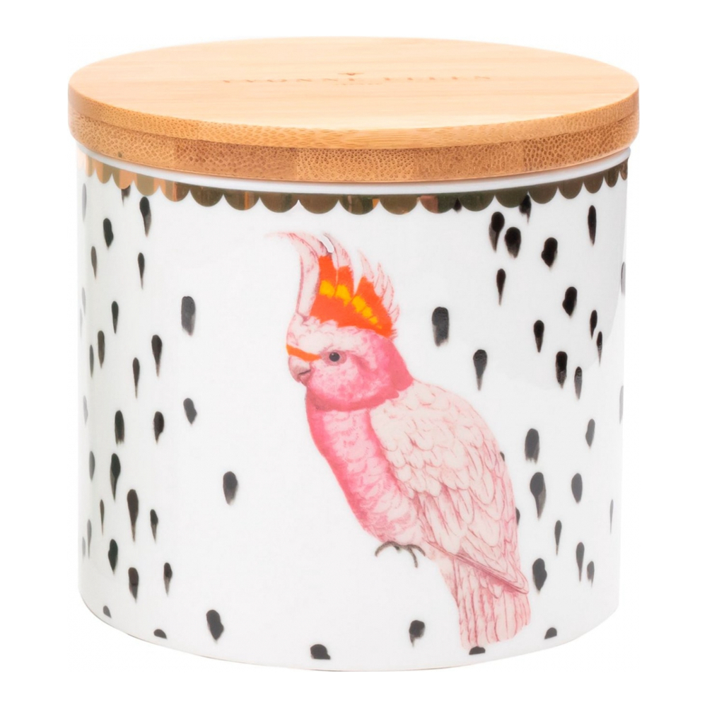 Small Parrot Jar