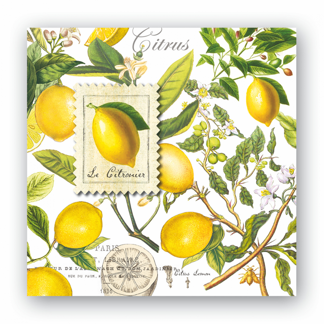 'Lemon Basil Cocktail' Napkins - 12.5 x 12.5 cm - 20 Pieces