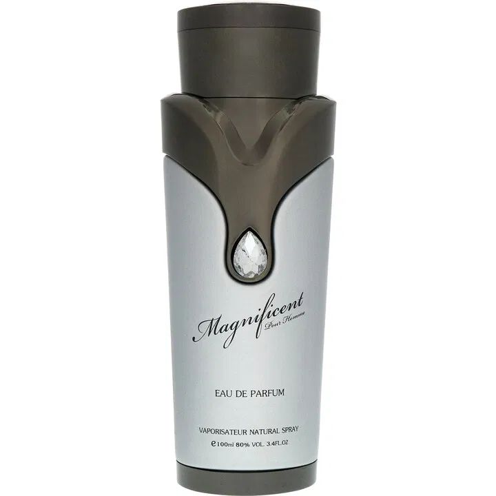 Eau de parfum 'Magnificent Pour Homme' - 100 ml