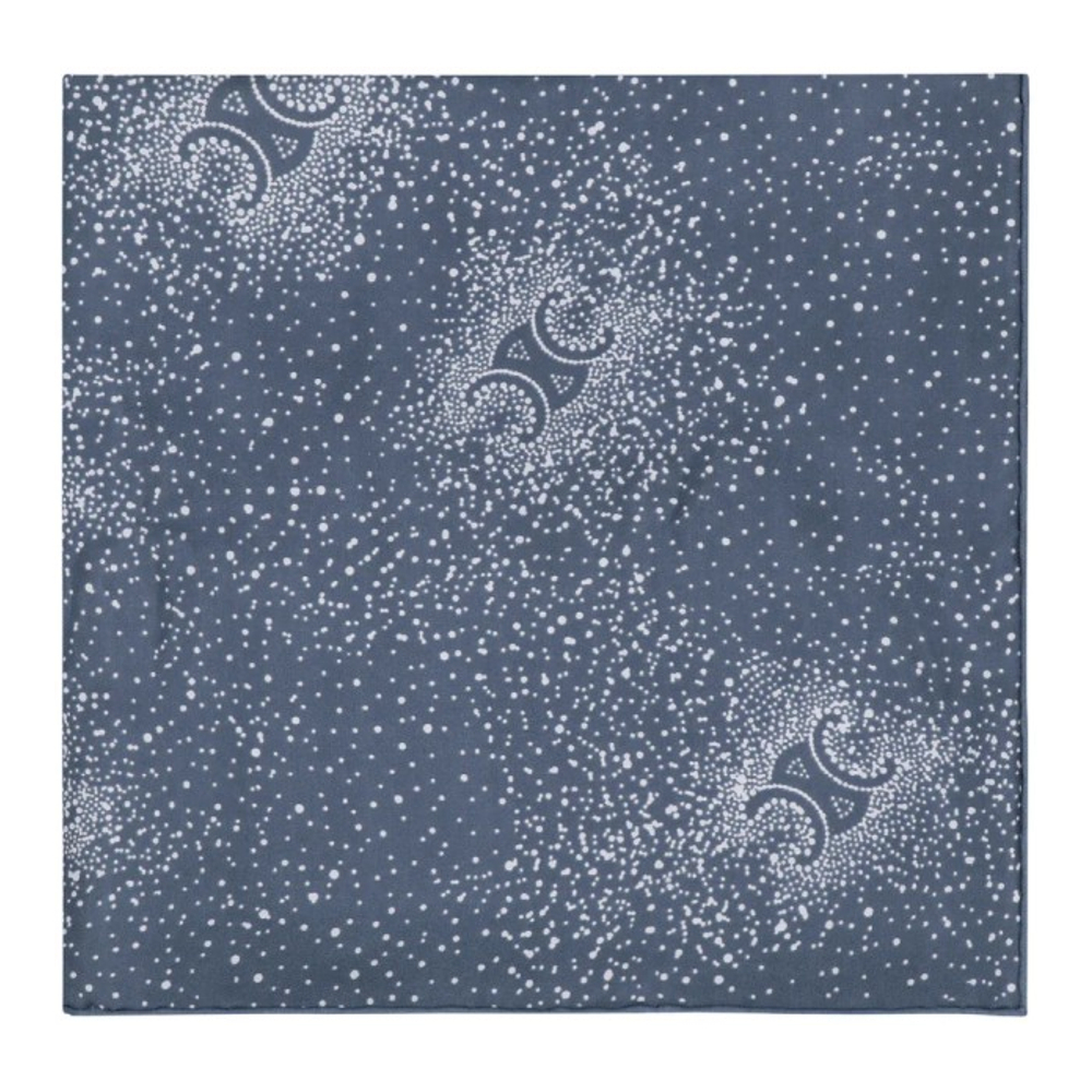 Foulard en soie 'Printed Yoke' pour Femmes