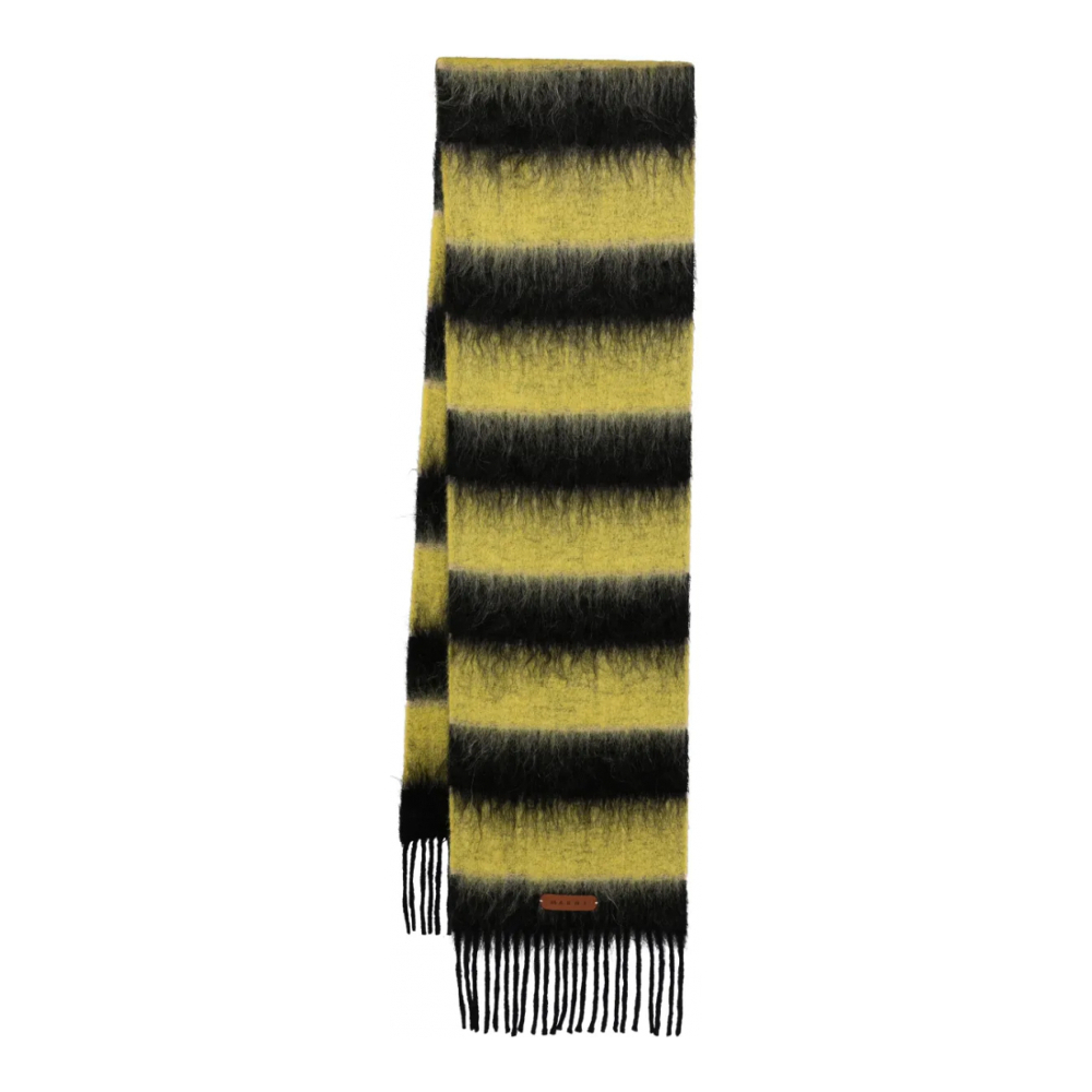 Écharpe en laine 'Fringed Colour-Block' pour Femmes