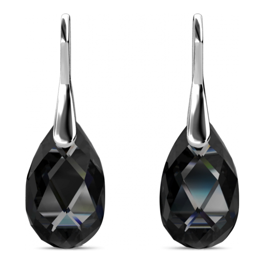 Women's 'Teardrop Hook' Earrings