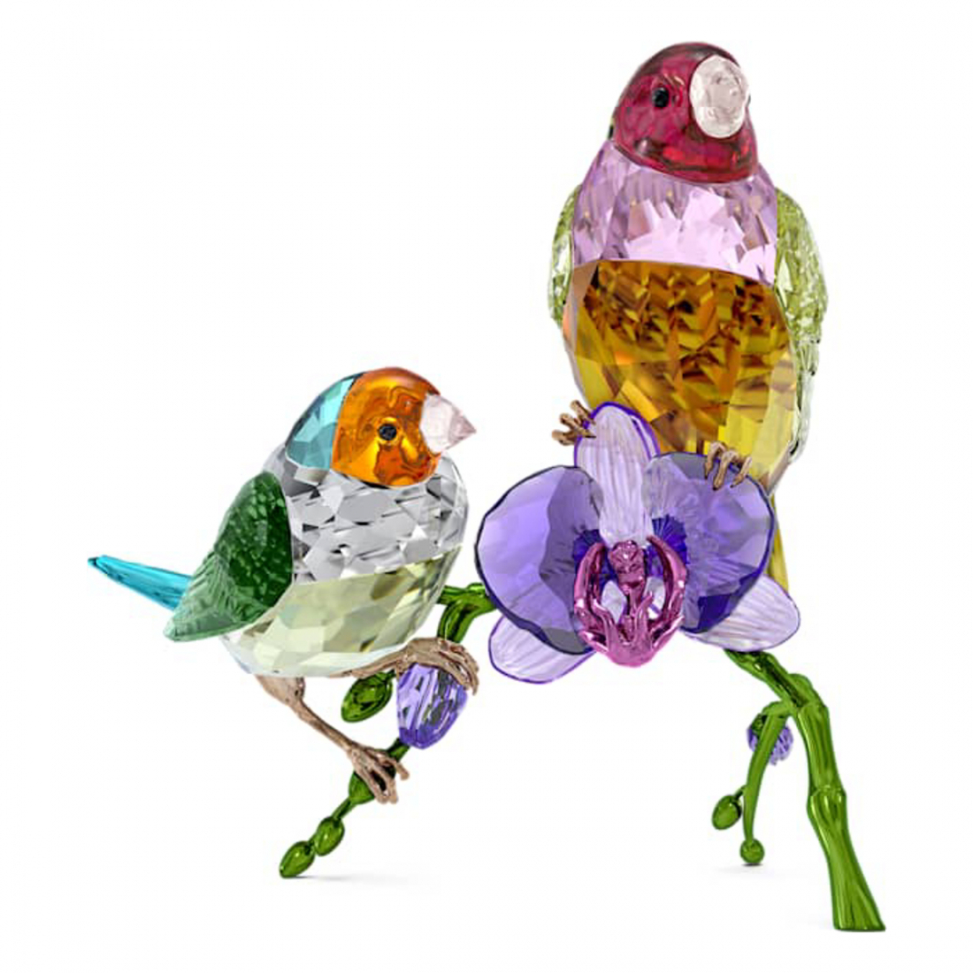 'Idyllia Scs Annual Edition 2024 Gouldian Finches' Decoration