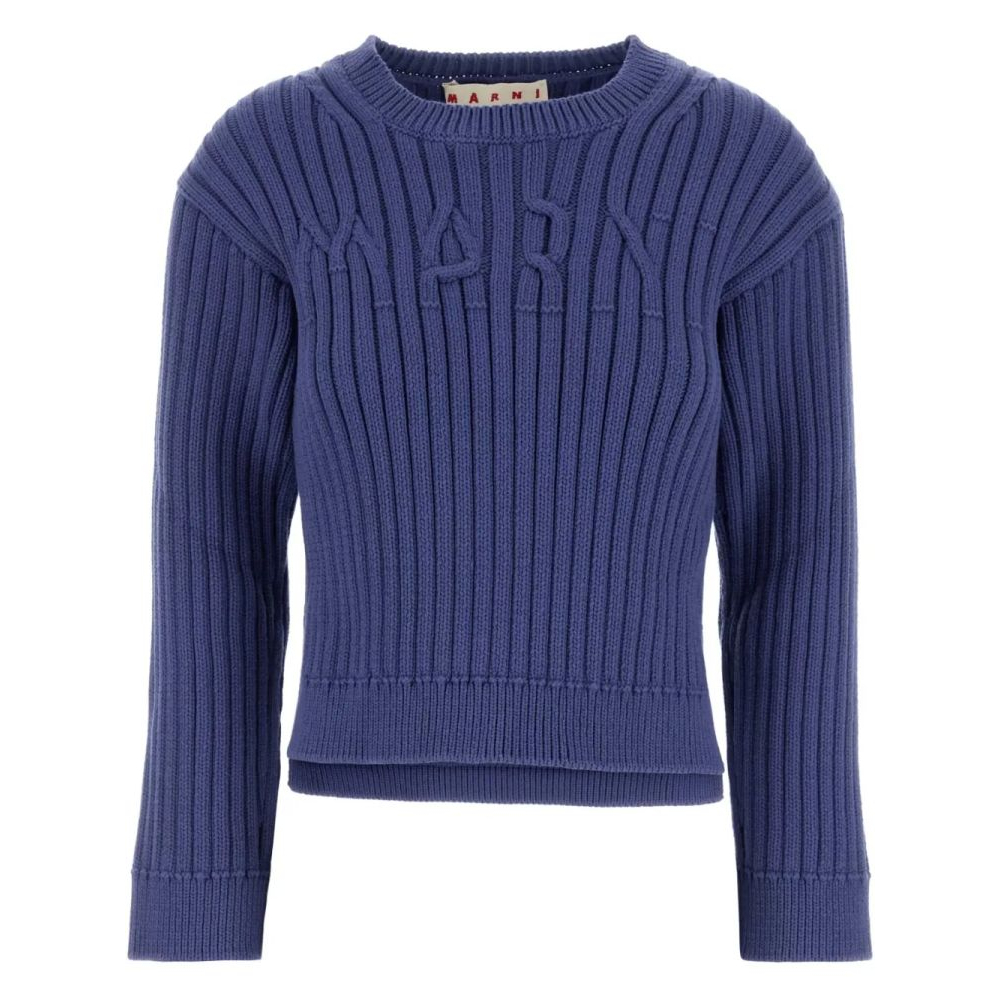 Women's 'Cerulean' Sweater