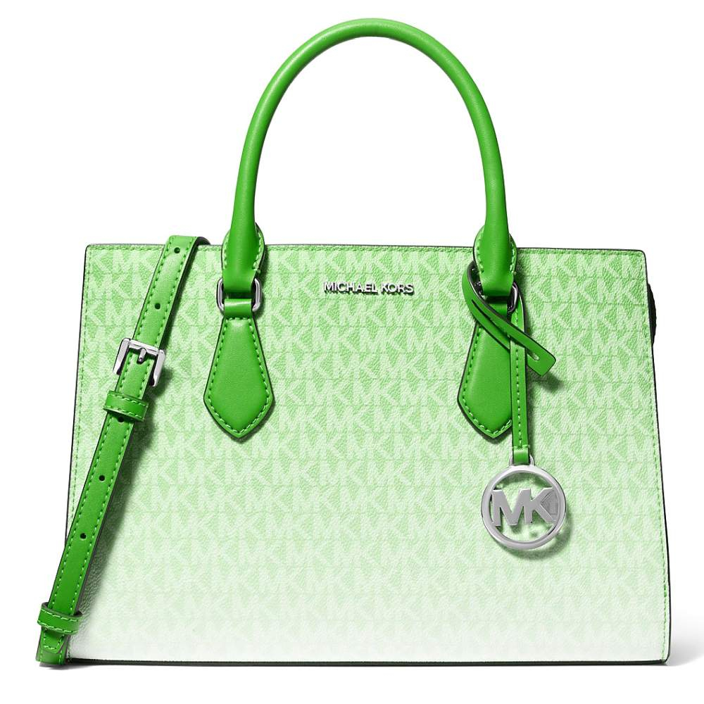 Women's 'Sheila Medium Ombré Signature Logo' Satchel