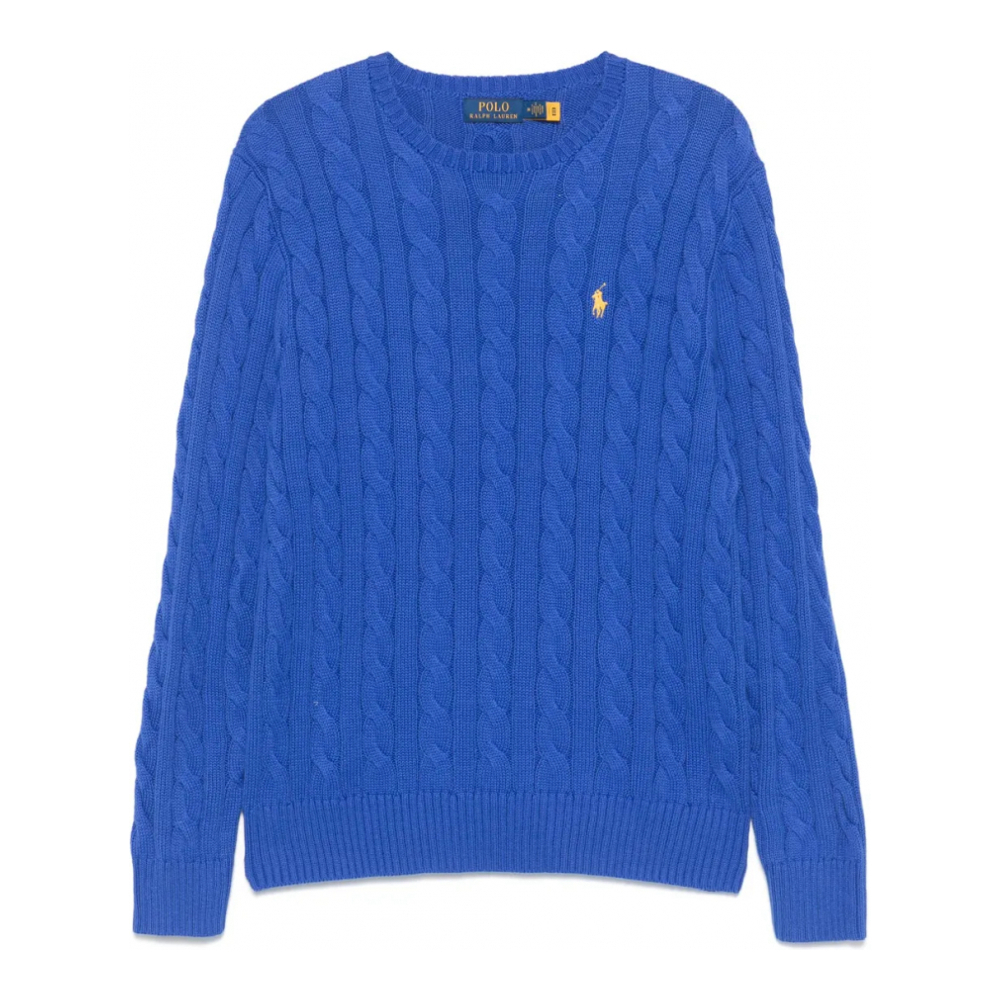 Pull 'Pony-Embroidered' pour Hommes