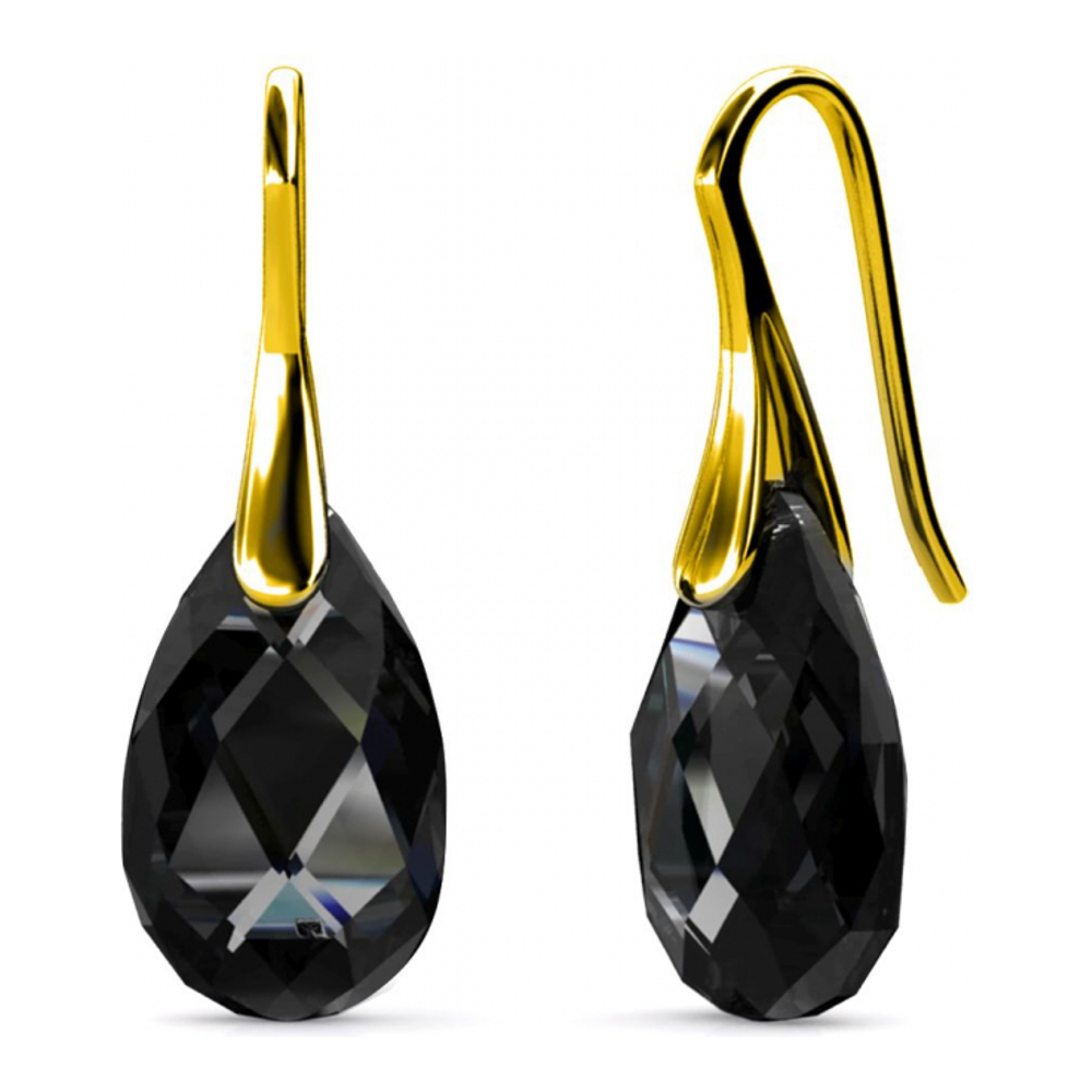 Women's 'Teardrop Hook' Earrings