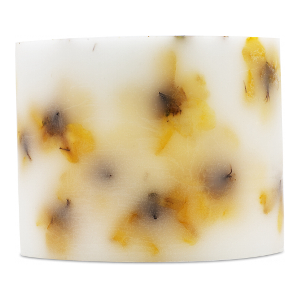 'Botanical Grande' Kerze - Miss Sunshine 1600 g