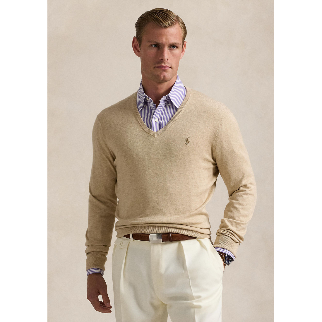 Men's 'Cotton V-Neck' Sweater