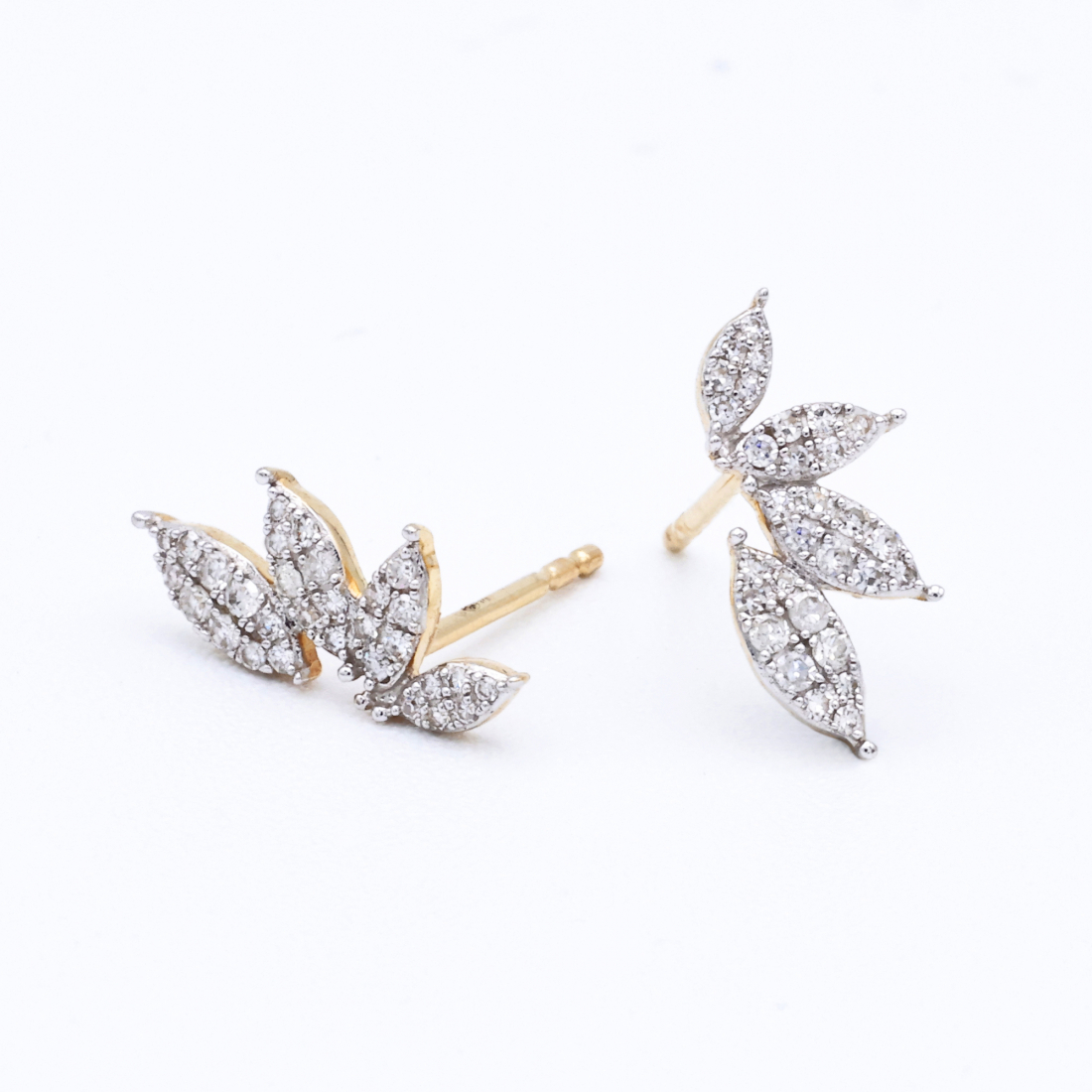 Women's 'Loane' Earrings