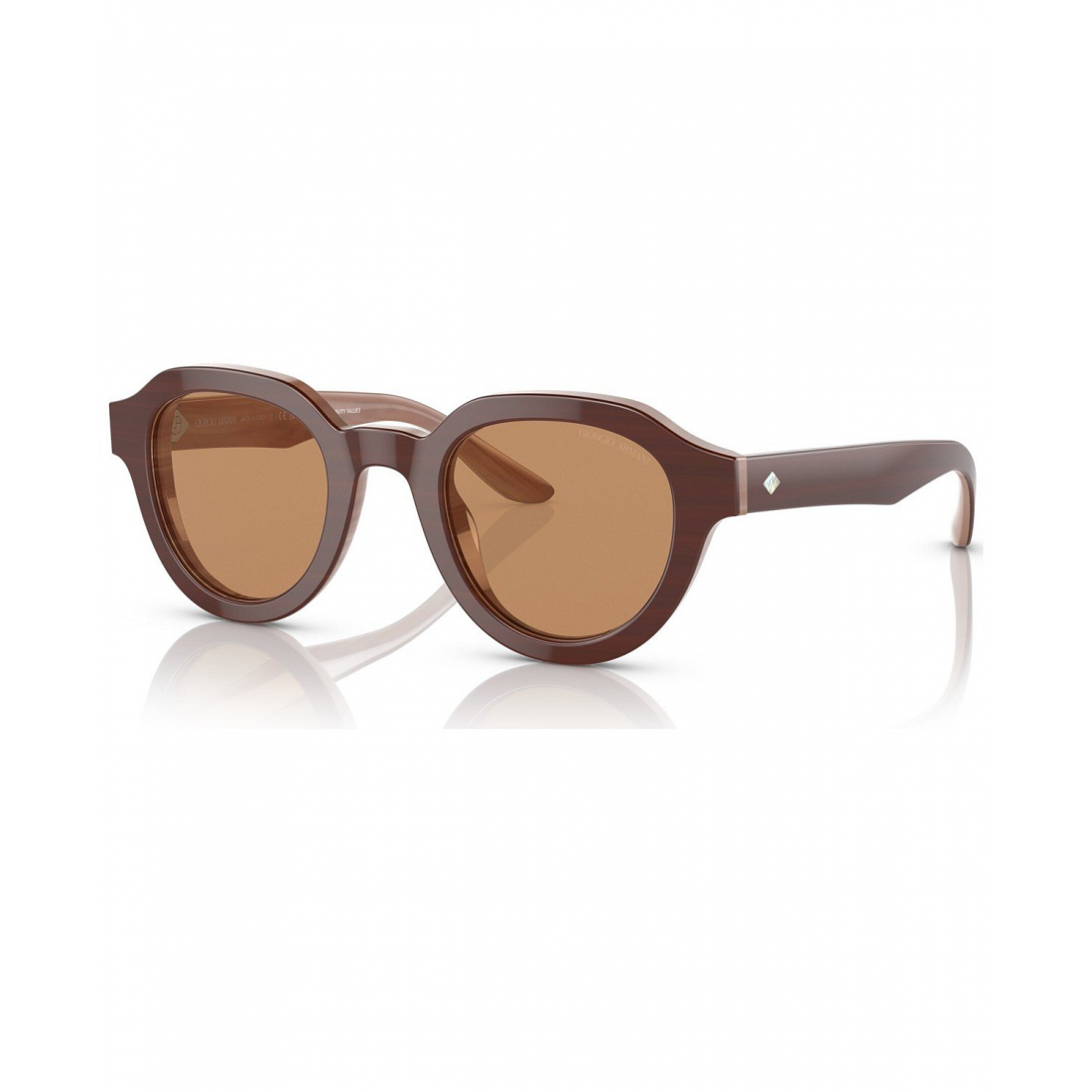 Women's 'AR8172U' Sunglasses