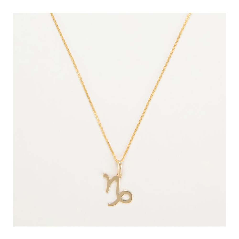Women's 'Capricorne' Pendant with chain