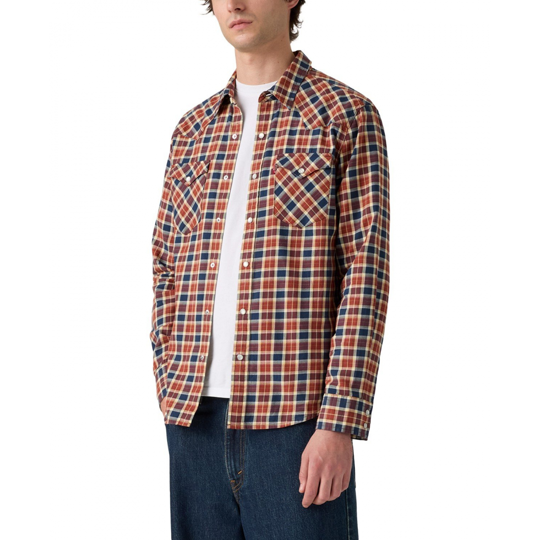 Chemise 'Classic Standard Fit Western' pour Hommes