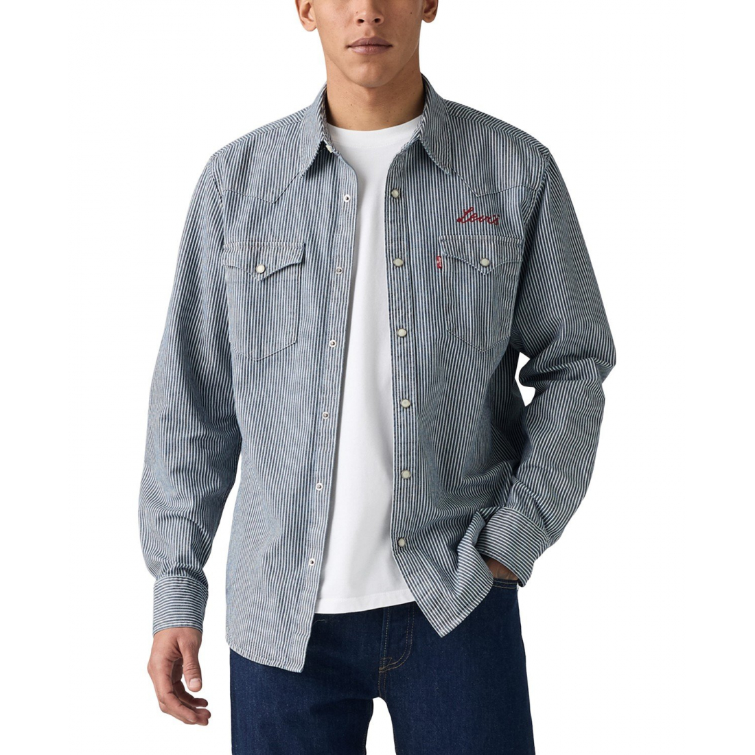 Chemise 'Classic Standard Fit Western' pour Hommes