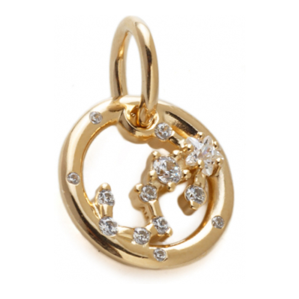 Women's 'Scorpio Zodiac Sign' Charm