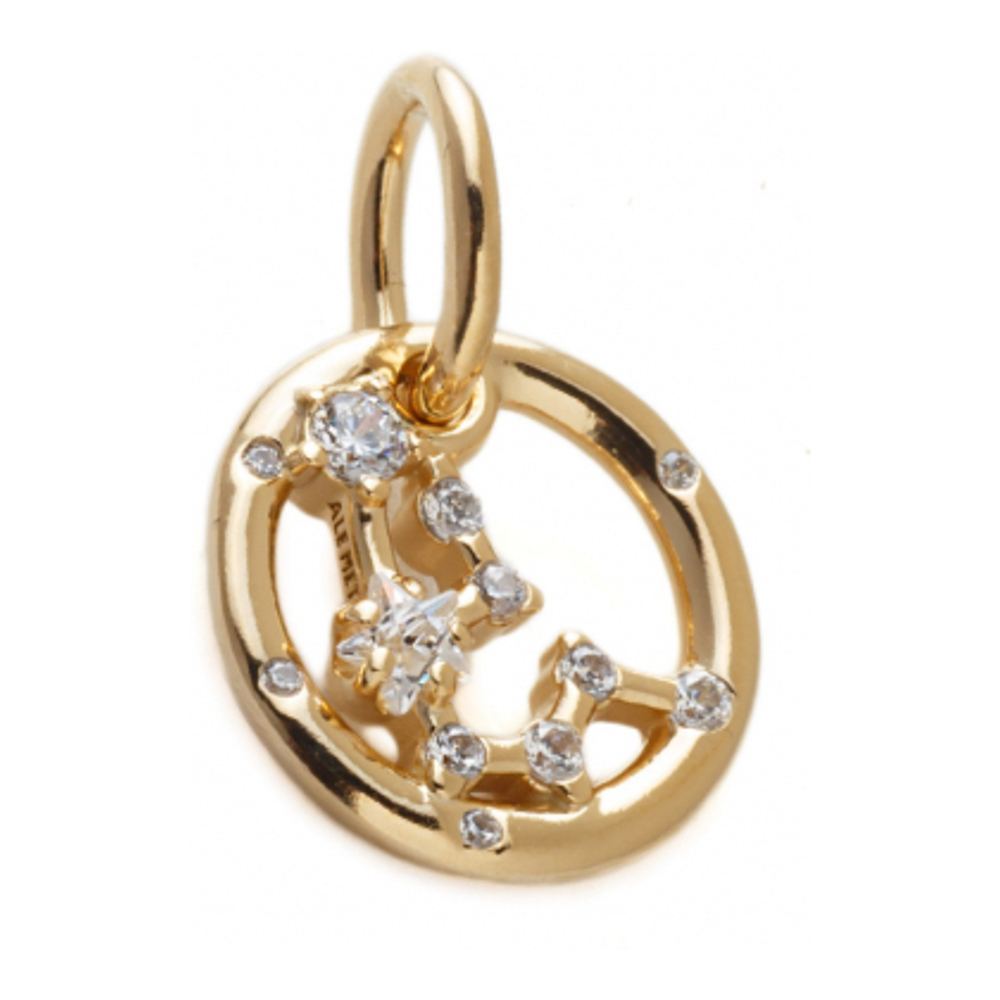 Women's 'Aquarius Zodiac Sign' Charm