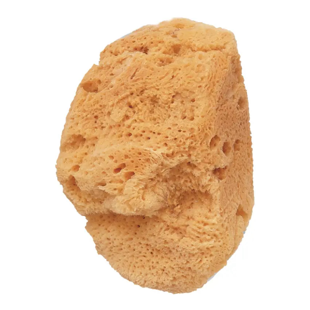 Éponge de mer 'Small Natural'