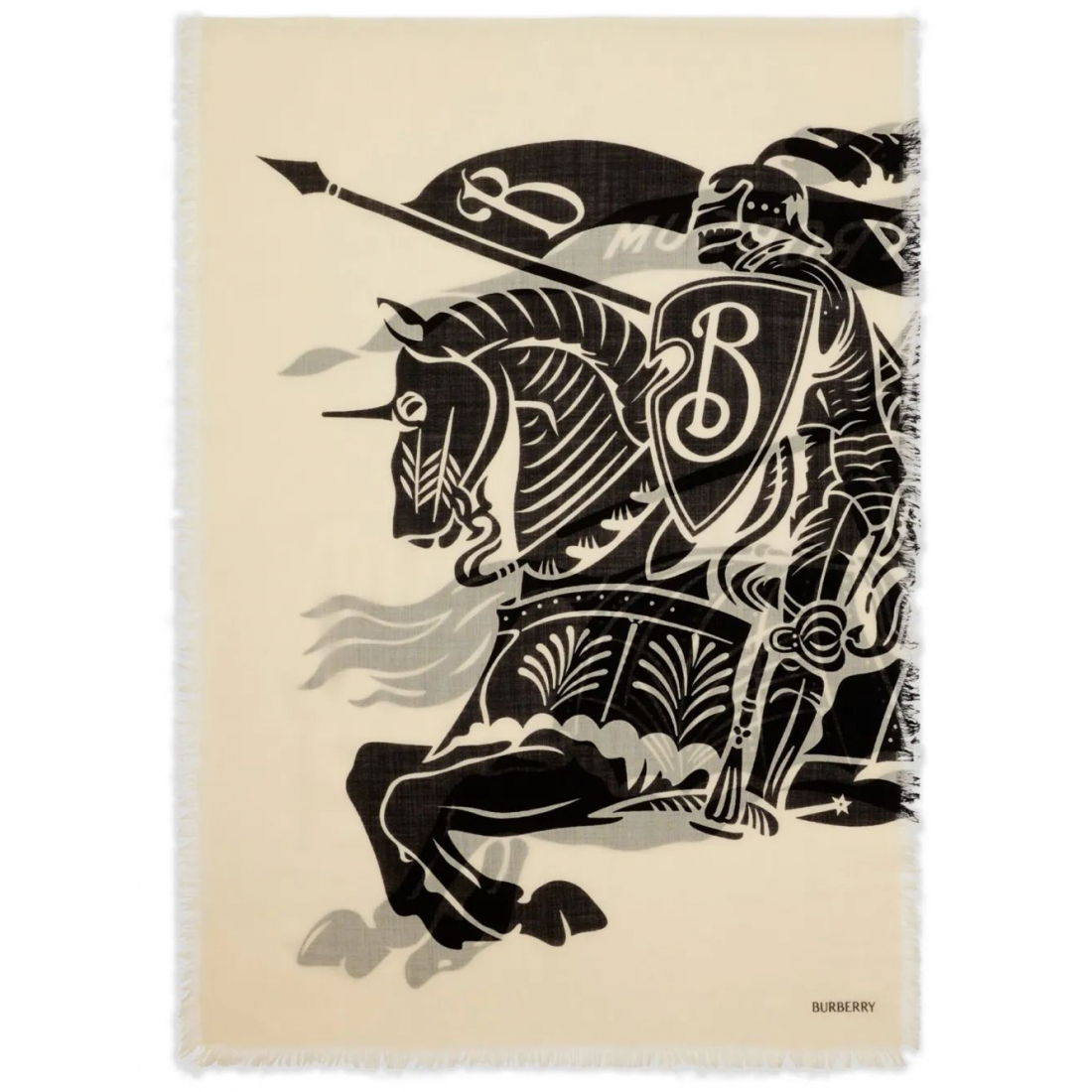 Écharpe en laine 'EKD' pour Hommes