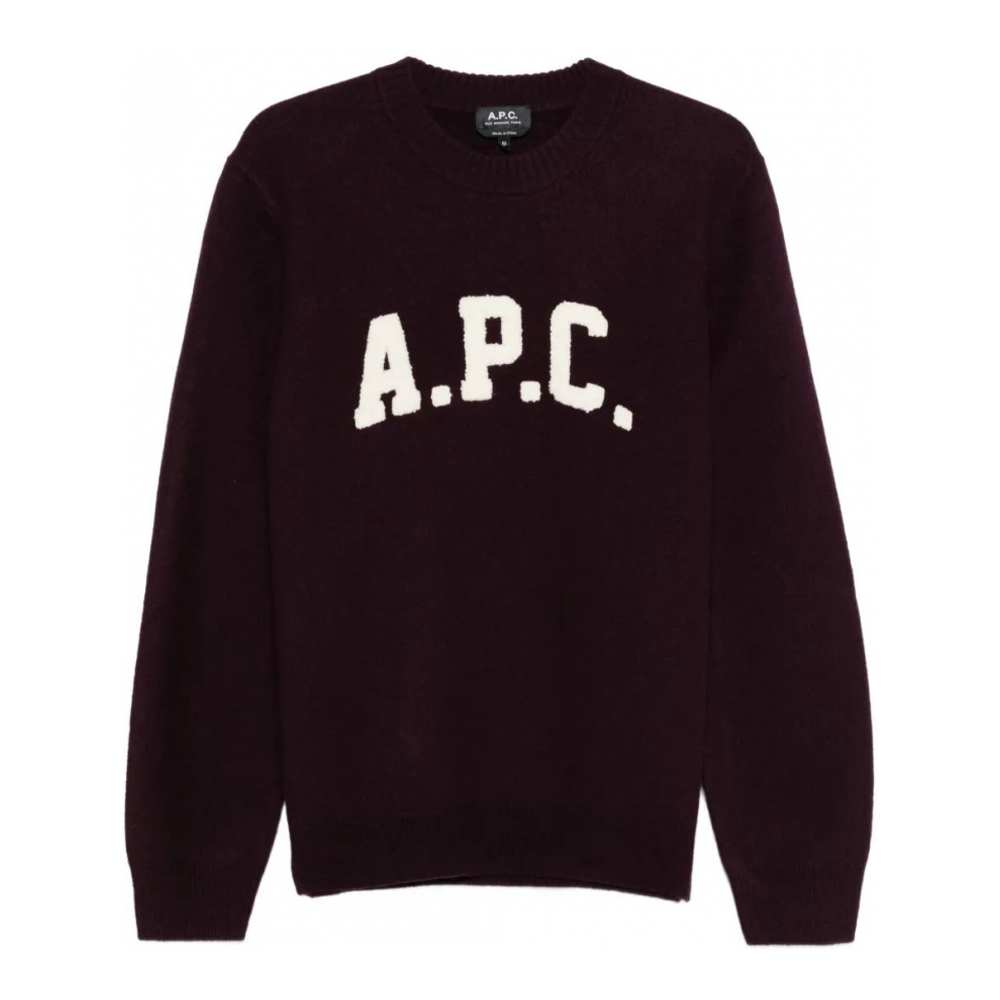 Pull 'Jay Varsity-Logo Crew-Neck' pour Hommes