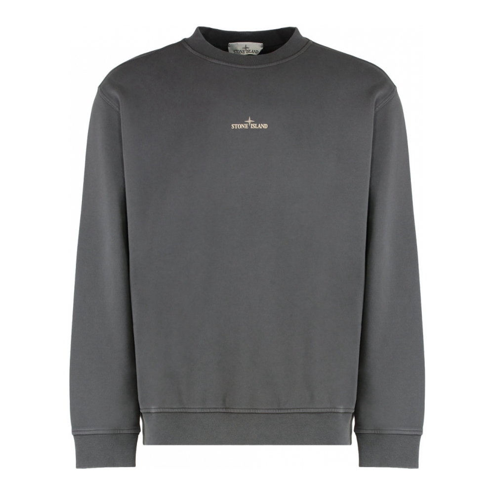 Sweatshirt 'Print' pour Hommes